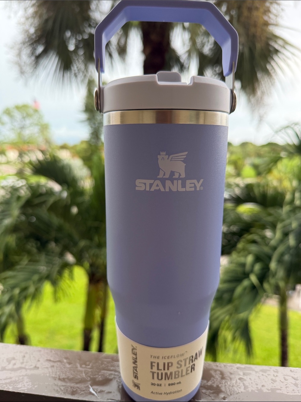 Stanley Flip Straw Tumbler